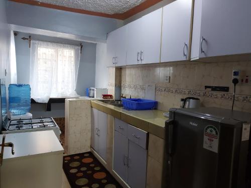 Η κουζίνα ή μικρή κουζίνα στο Parkview apartments