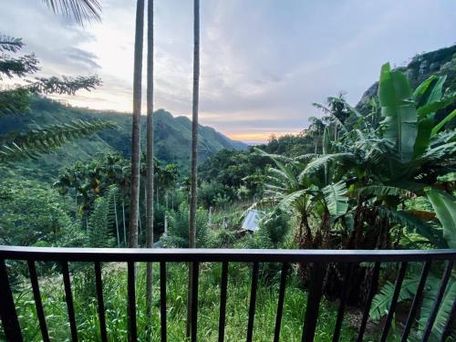 a balcony with a view of a forest at adam's apple homestay in Ella