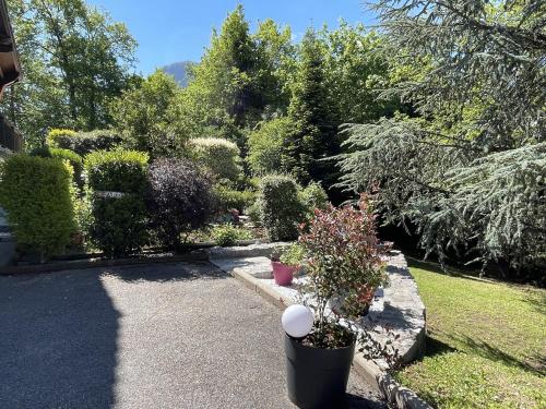 a garden with potted plants and trees at Le chalet des Pesettes in Thorens-Glières