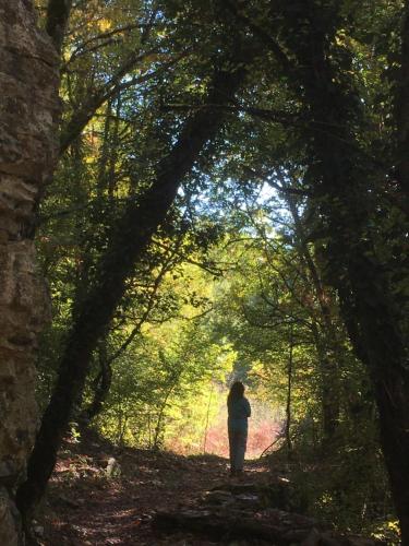 a woman walking down a path in the woods at KATIKIA ZAGORI in Vitsa