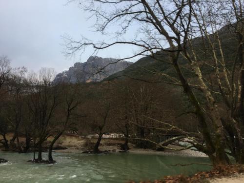 a green pond with trees and mountains in the background at KATIKIA ZAGORI in Vitsa