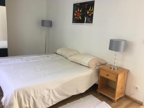 sypialnia z łóżkiem i lampką na szafce nocnej w obiekcie Ski 3 Vallées à 80m télécabine de l'Olympe - appt 50m2, 3étoiles w mieście Brides-les-Bains