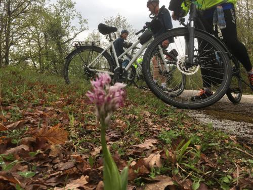 two people riding bikes on a trail with a flower at KATIKIA ZAGORI in Vitsa