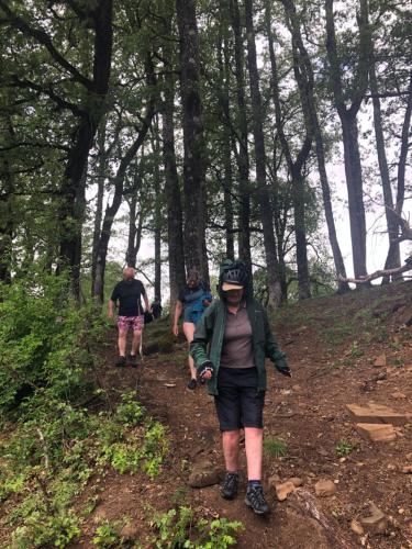 a group of people walking on a trail in the woods at KATIKIA ZAGORI in Vitsa
