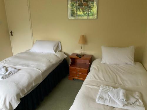 two beds sitting next to each other in a room at The Jolly Farmer in Bramley