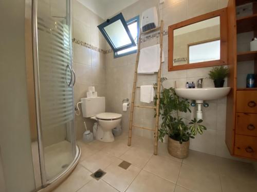 La salle de bains est pourvue de toilettes, d'un lavabo et d'une douche. dans l'établissement Nirvana Maayan Baruh, à Ma‘yan Barukh