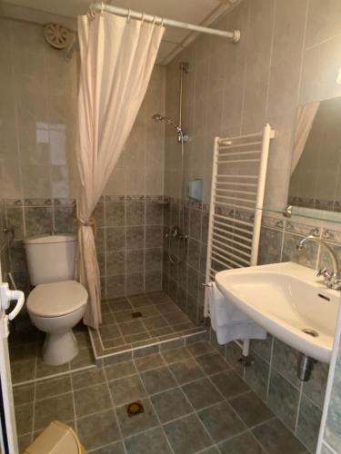 a bathroom with a toilet and a sink at Family Hotel Zdravets in Sofia