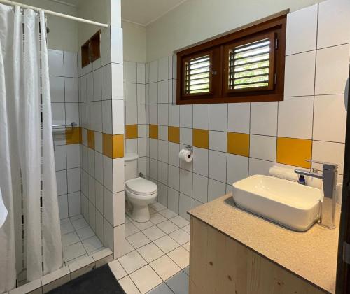 a bathroom with a toilet and a sink at Westhill Bungalows & Diving in Sabana Westpunt
