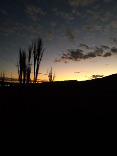 a sunset in a field with trees in the background at Sitio148 Hospedaria in Penedo