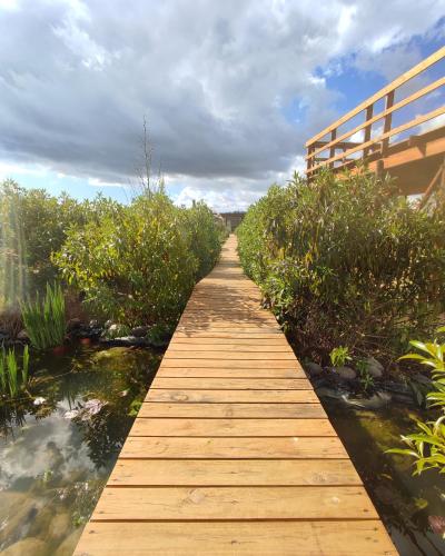 Gallery image of La Tribu Ecolodge y Camping in Algarrobo