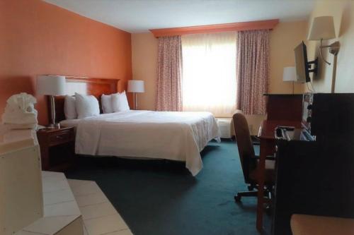 pokój hotelowy z łóżkiem i oknem w obiekcie Buckeye Inn near OSU Medical Center, Columbus OH I-71 By OYO w mieście Columbus
