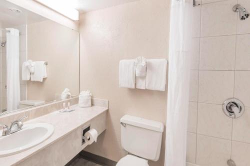 y baño con aseo, lavabo y espejo. en Buckeye Inn near OSU Medical Center, Columbus OH I-71 By OYO, en Columbus