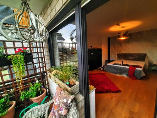Zimmer mit einem Bett und Topfpflanzen auf einem Balkon in der Unterkunft African Lodge im Pilgerglück in Jüchen