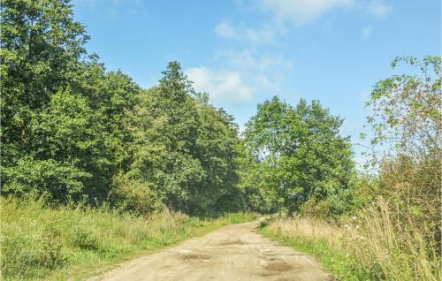 a dirt road with trees on either side at Three-Bedroom Holiday Home In Szteklin in Szteklin