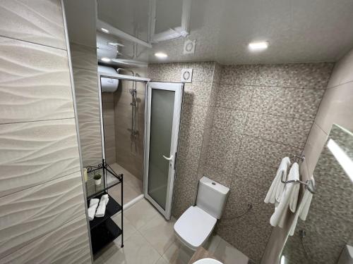 La salle de bains est pourvue de toilettes et d'une douche en verre. dans l'établissement Апартамент Панорама Рози, à Sandanski
