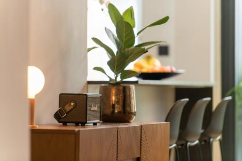 a table with a speaker and a potted plant on it at Appartement Guillemins Station Terrace in Liège