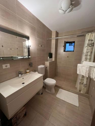 łazienka z białą umywalką i toaletą w obiekcie Aparthotel Brown w Bukareszcie