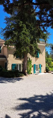 a house with a tree in front of it at T2 indépendant dans maison Tout confort in Die