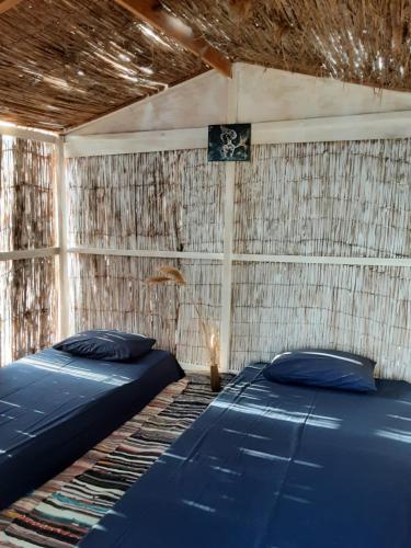 a room with two blue beds in it with a wall at Cosmos Camp in Dahab
