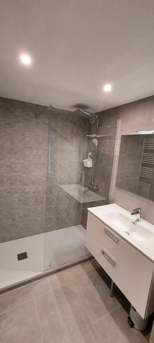 ein Bad mit einer Dusche, einem Waschbecken und einer Dusche in der Unterkunft T2 indépendant dans maison Tout confort in Die