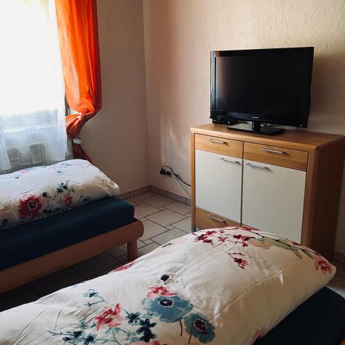 TV a/nebo společenská místnost v ubytování Ferienwohnung Klenk
