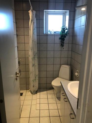 Vonios kambarys apgyvendinimo įstaigoje Kærly