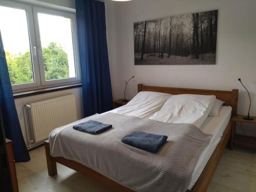 Postel nebo postele na pokoji v ubytování Apartamenty 47