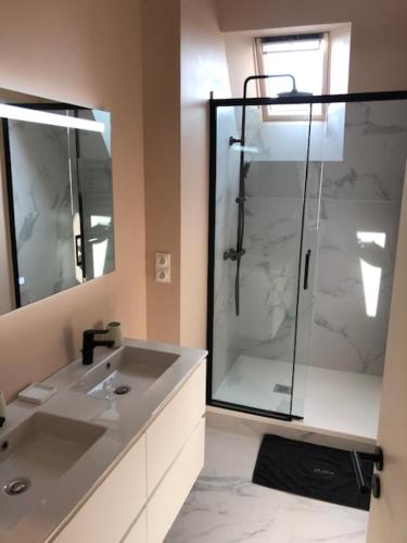 bagno con doccia in vetro e lavandino di Appartement vue bassin 2 chambres ad Arcachon