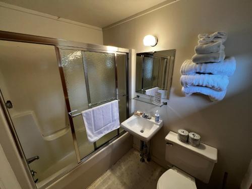 uma casa de banho com um WC com lavatório, um chuveiro e toalhas em Unity Sky Lodge em Jackman