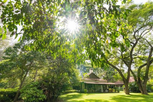 Legendary Lodge – Photos 5