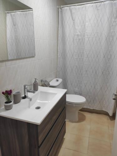 łazienka z umywalką i toaletą w obiekcie Apartamento rural Casa Calo 