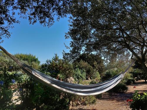 Ein Garten an der Unterkunft Arcamyrtus