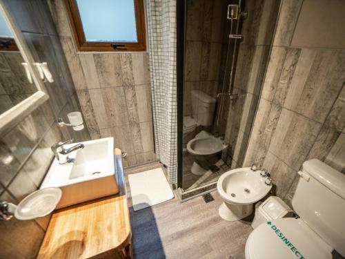 a bathroom with a sink and a toilet and a shower at Cielo Sur Balsas Loft in Villa La Angostura