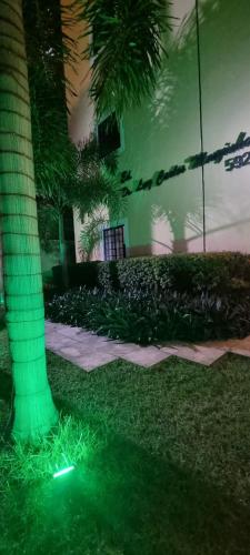 a green light on the grass next to a palm tree at flat Luiz Carlos Mouzinho in Teresina