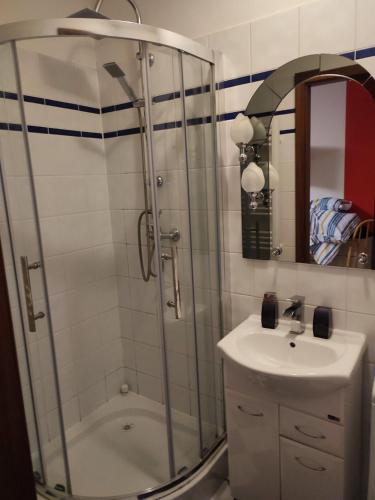 een badkamer met een douche en een wastafel bij Apartment in the center of Krakow in Krakau