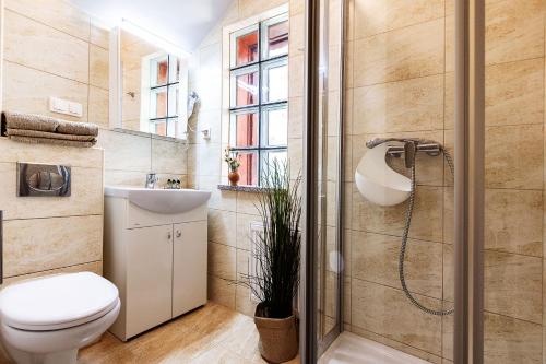 a bathroom with a shower and a toilet and a sink at Pokoje przy Plaży Dźwirzyno -Pelikan Resort in Dźwirzyno