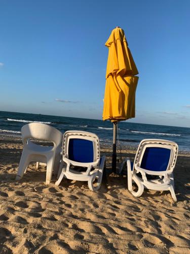 Billede fra billedgalleriet på بورتو سعيد Portosaid i Port Said