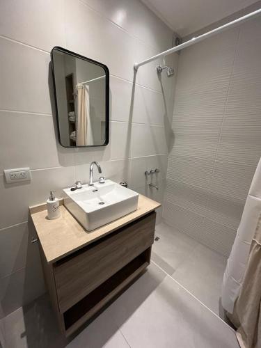 a bathroom with a sink and a mirror and a shower at Los Petos - Playa Grande in Mar del Plata