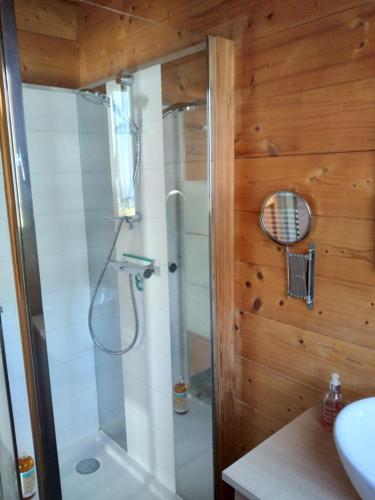 a shower with a glass door in a bathroom at Maison écoresponsable classée 3 étoiles avec son jardin clos in Donzy