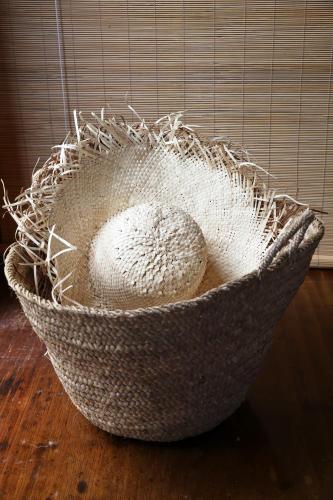 a nestled in a bowl on a wooden table at Boho Hill Apartment - Great Barrier Island Escape in Port Fitzroy