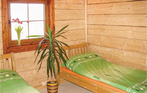 Podamirowo的住宿－Beautiful Home In Mscice With 3 Bedrooms And Wifi，一间房间,带两张床,里面装有植物