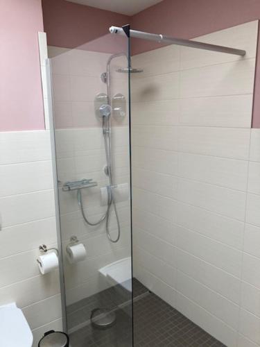 a shower with a glass door in a bathroom at Ferienwohnung Troge in Greifswald