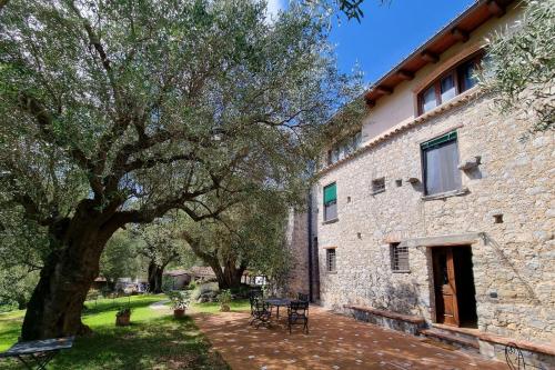 a large stone building with a tree next to it at Pie' d'Ulivo in Bosco