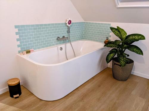 een bad in een badkamer met een plant bij House 45 in Oostende