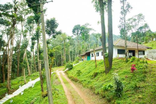 a house on a hill next to a dirt road at The Nest bettathur, Coorg in Madikeri