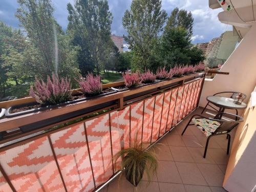 un balcón con macetas en la pared en Apartament Luxusowe Karkonosze, en Jelenia Góra