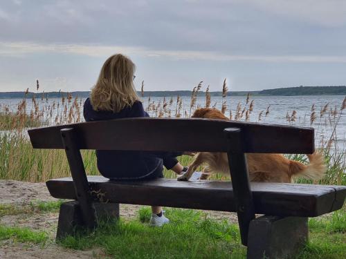 a woman sitting on a bench with a dog at Luxusferienhaus Seevilla Monaco am Fleesensee in Göhren-Lebbin