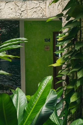 a building with a green door and some green leaves at Hotel Cañada Internacional in Palenque
