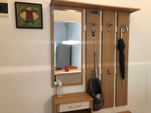 een badkamer met een douche en een spiegel bij Guesthouse Gigli 2 - Garage piccolo & Tourist Card in Bolzano