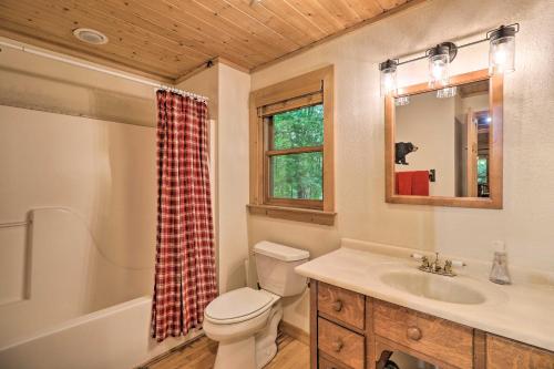 bagno con servizi igienici, lavandino e specchio di Woodland Cabin with Hot Tub and Deck 11 Mi to Boone! a Stony Fork